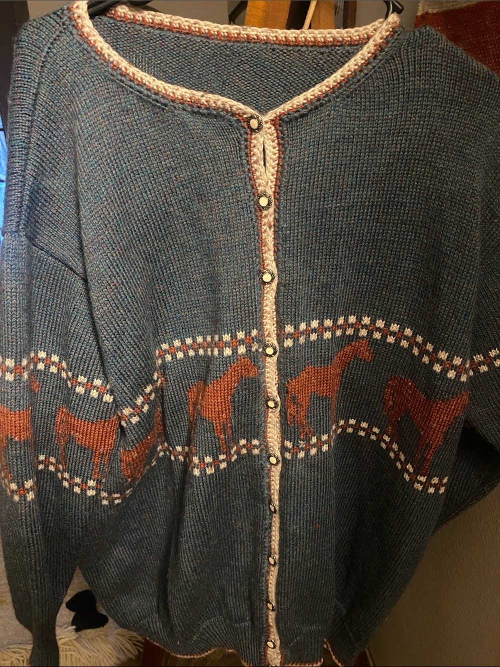 Vintage Blue Horse-Pattern Button Cardigan Sweater - Women - Picture 1 of 4